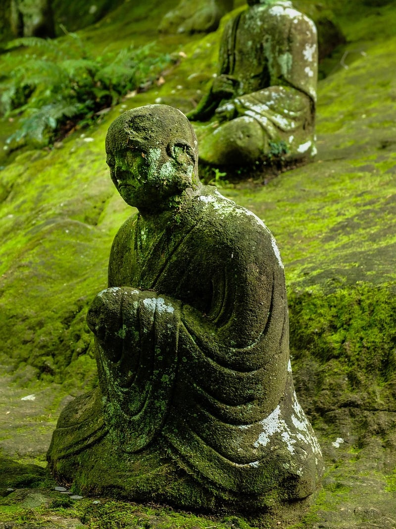 Mossy Pathways